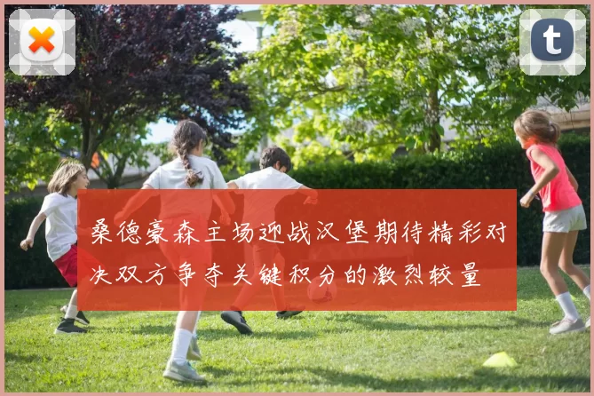 桑德豪森主场迎战汉堡期待精彩对决双方争夺关键积分的激烈较量