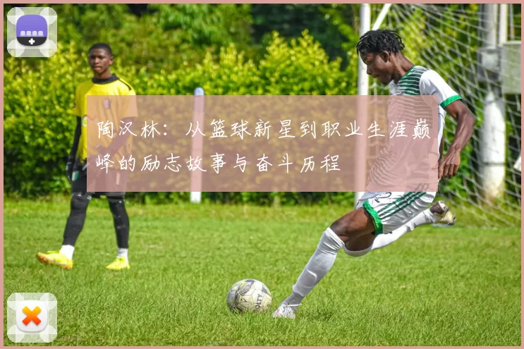 陶汉林：从篮球新星到职业生涯巅峰的励志故事与奋斗历程