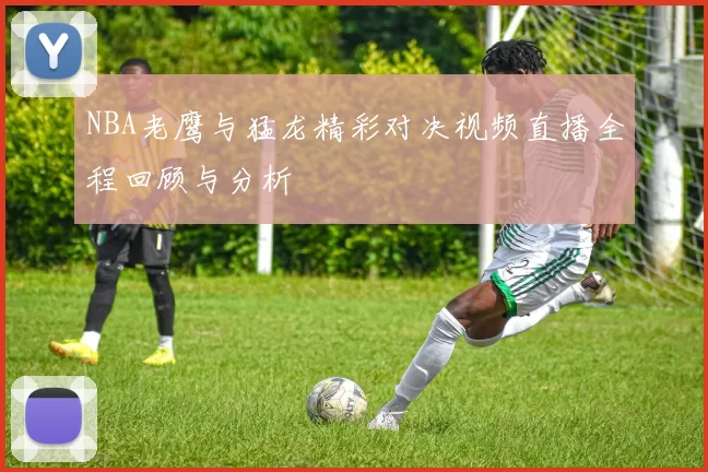 NBA老鹰与猛龙精彩对决视频直播全程回顾与分析